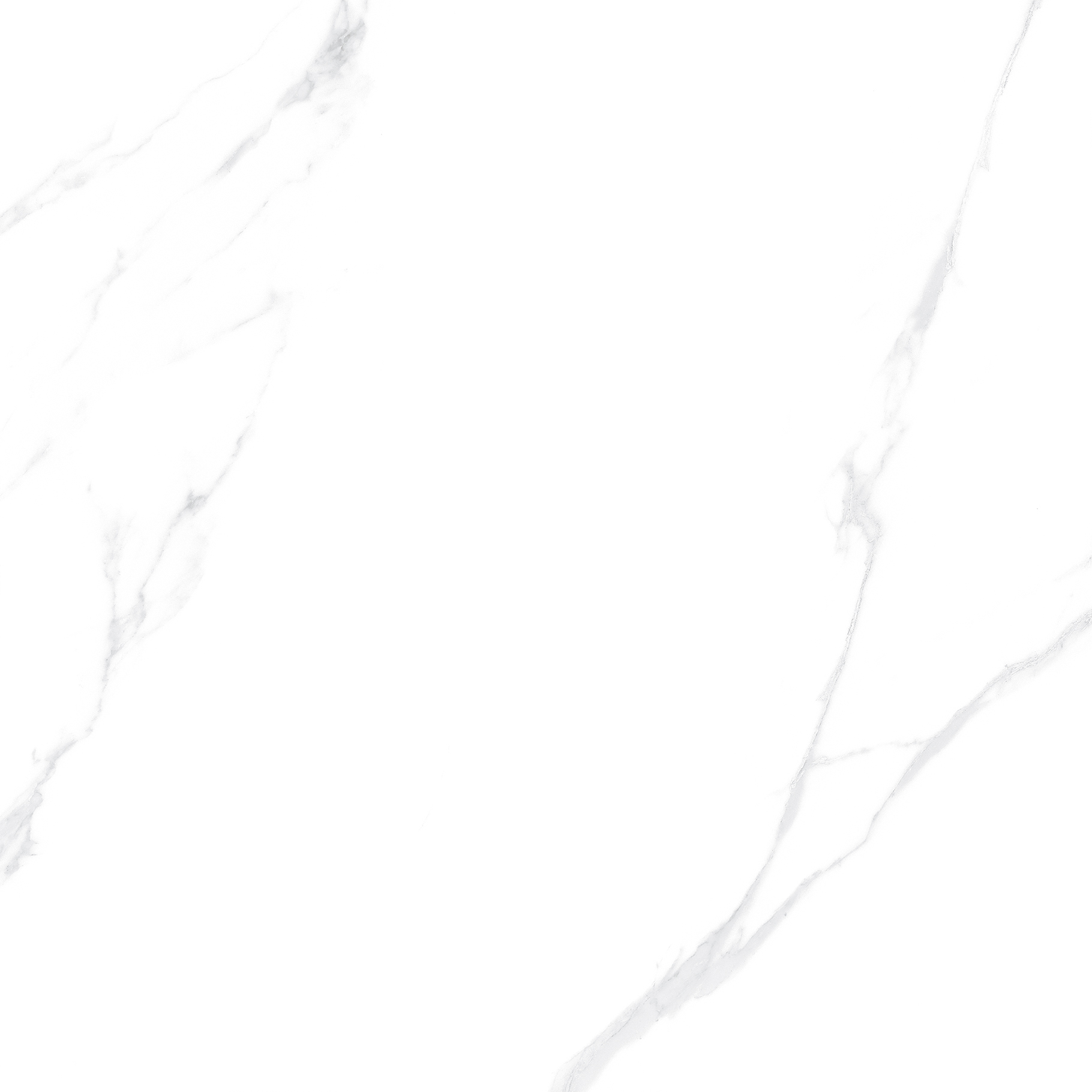 OFTT82999 銀河白