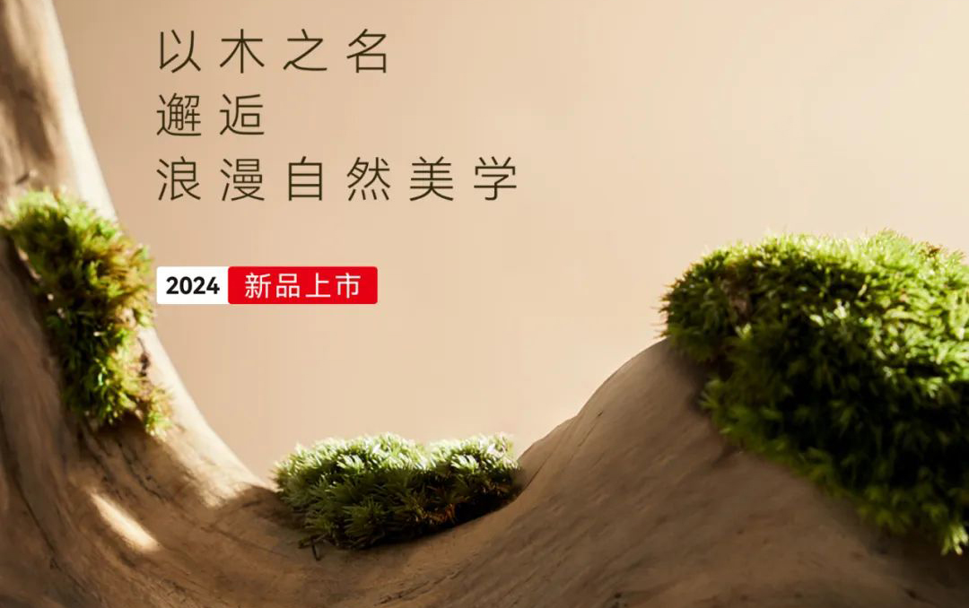 【木外系列】木之造物，美自天成